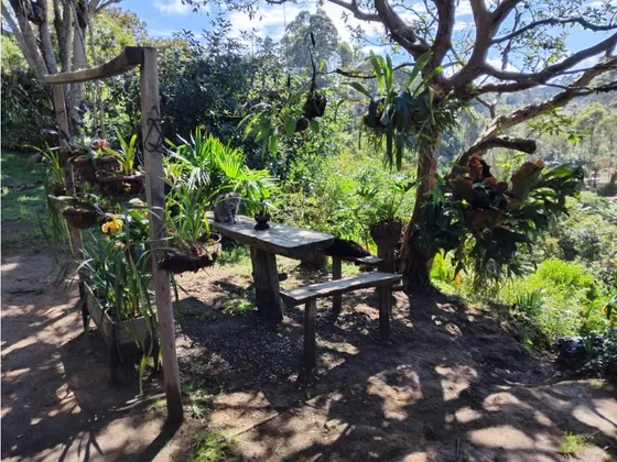 Finca En Venta En Rionegro Antioquia 