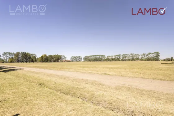 Venta-lote-chacra-carmen De Areco-la Alameda