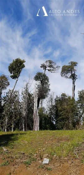 Sitio En Venta En Comuna De Purranque A 73 Km De Osorno