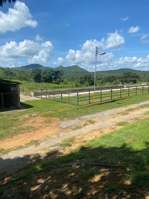 Finca En Venta En Cojedes Municipio Pao - 1721 Inmobiliaria Maggi.