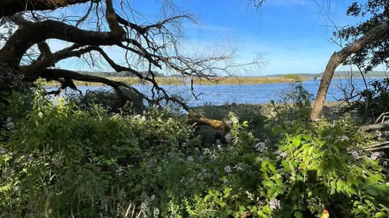 Hermosa Parcela A 10 Km Del Centro De Valdivia