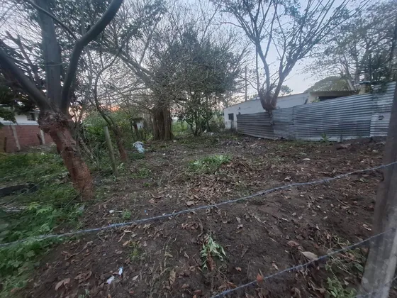 Terreno En Venta En El Zapote Alvarado Veracruz, Ver.