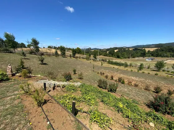 Parcela Con Casa En Venta En Paillaco