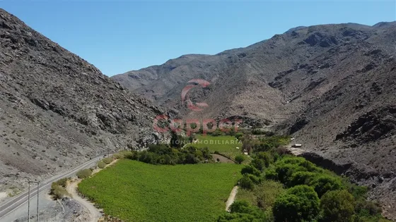 Se Vende Predio Agrícola Con Derechos De Aguas Superficial!