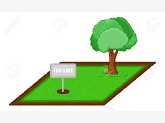 Terreno En Venta Chapultepec