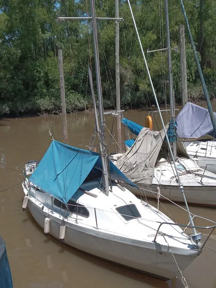 Velero Trotter Internacional