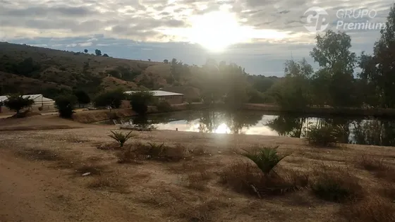 Parcela 2,39 Ha, 2 Casas, Agua, Naturaleza. Marchigue. Dueño