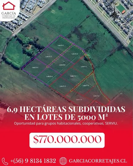 6,9 Hectáreas De Terreno Ubicadas En Molina