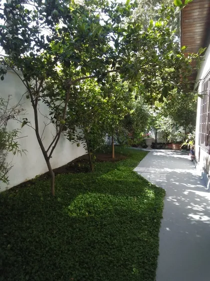 Plaza Dinamarca