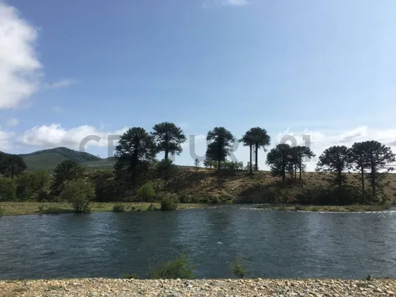Lote En Lonquimay, Paso Pino Hachado
