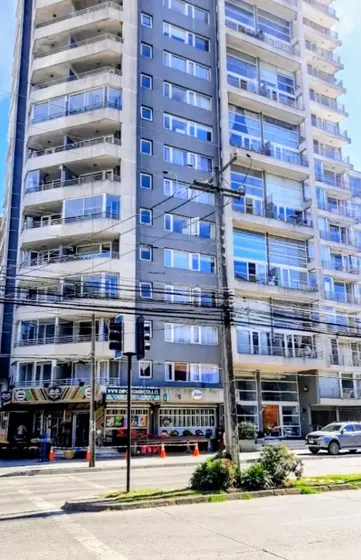 Soleado Y Cómodo Departamento En Venta 1d1b, Concepción.