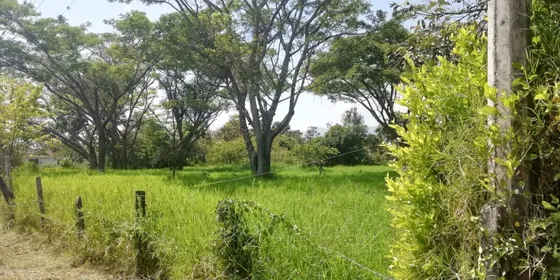 Se Vende Hermoso Lote En Chinauta
