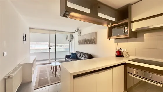 En Cerro Colorado Arriendo Depto Amoblado, Parque Arauco