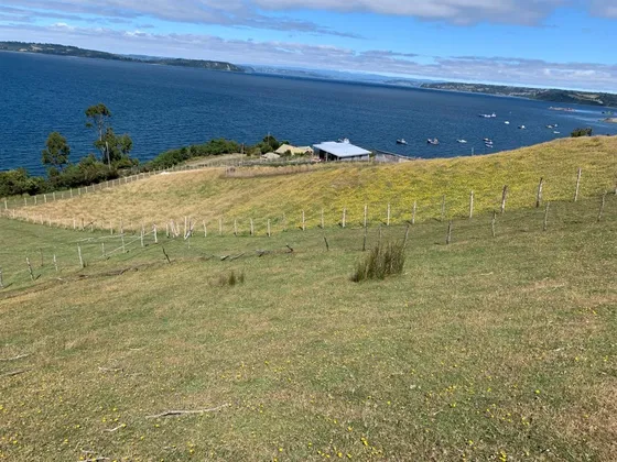 Parcela En Venta En Dalcahue