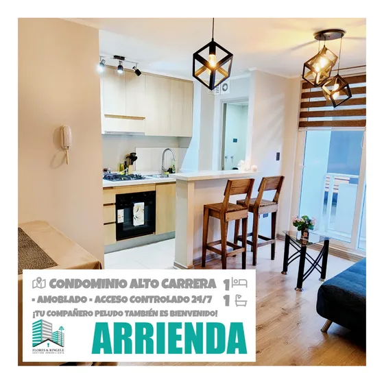 Arriendo Moderno Departamento Amoblado Cond. Alto Carrera