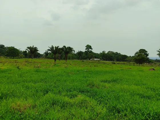 Em Finca En Venta En El Piñal Sector La Victoria