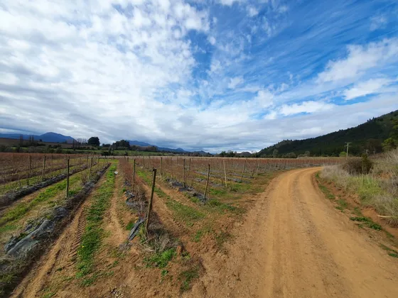 Terreno Plano Con Aguas