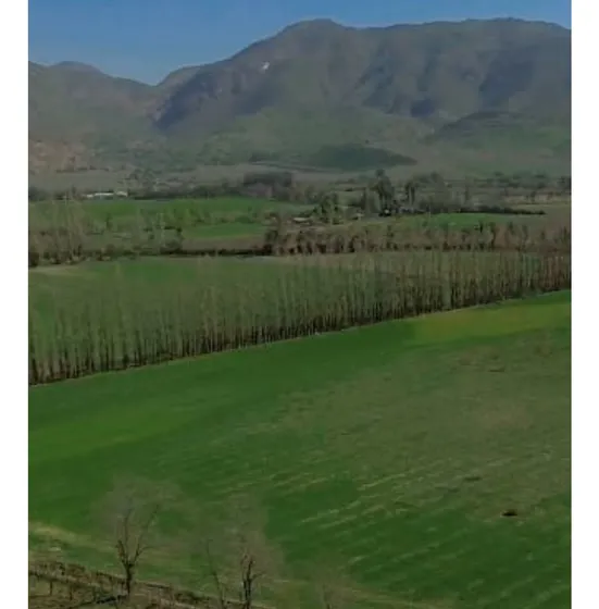 Vende Parcelas De 5.000 Mt2, Rol Propio, En Rinconada De Los