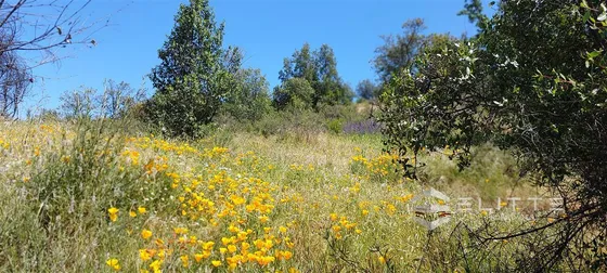 Parcela En Venta En Olmué, Quebrada Alvarado