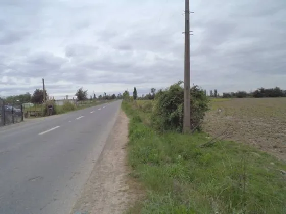 Huimeo, Longaví