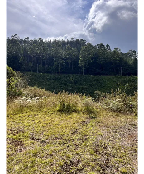 Venta De Lote En Caldas