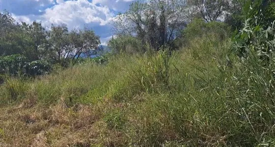 Terreno En Renta En Carretera Nacional En Allende