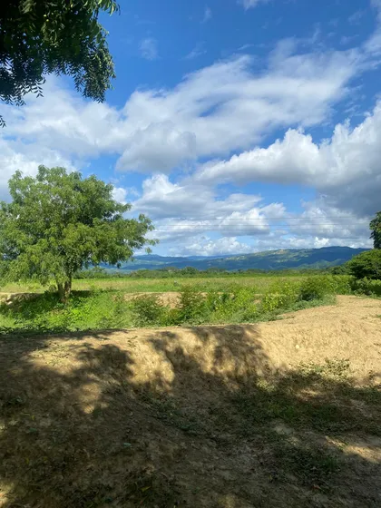 Se Vende Finca El Paraiso 78 Hect. Sector Cumaripa