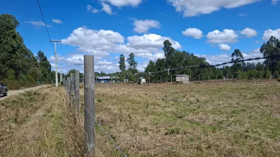 Parcela 100% Plana 15 Min De Pitrufquen Con Luz