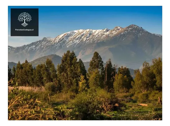 Venta Terreno En Codegua 55 Min De Santiago (144735)
