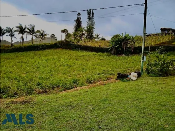 Invierte En La Tierra De La Cerámica.(mls#249547)
