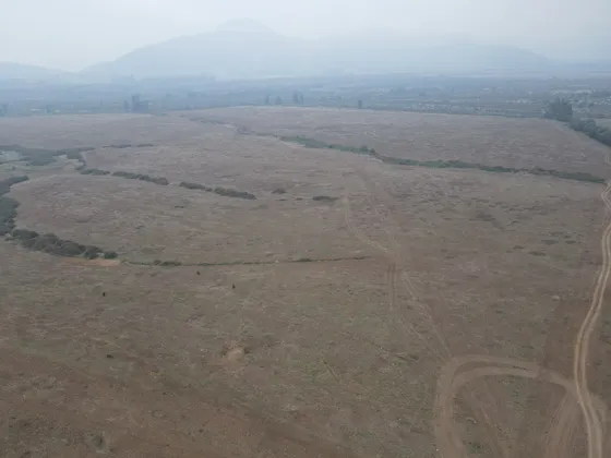 Venta De Campo Agrícola En San Fernando Id 88.545-cam
