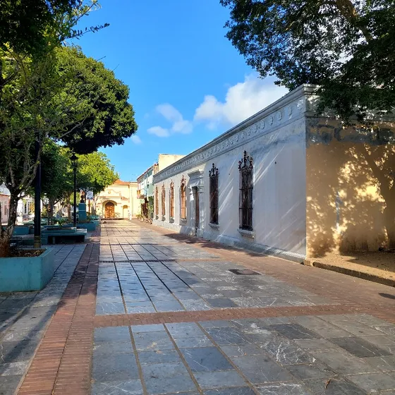 Alquiler Oficinas En La Asunción En El Boulevard