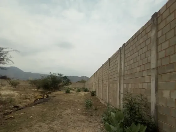 Yr En Venta 6 Hectáreas De Terreno En Paraparal Los Guayos