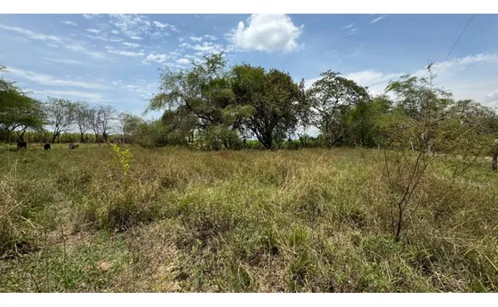 Lote De 1.000m2 En Parcelación En Venta Tienda Nueva Palmira Valle