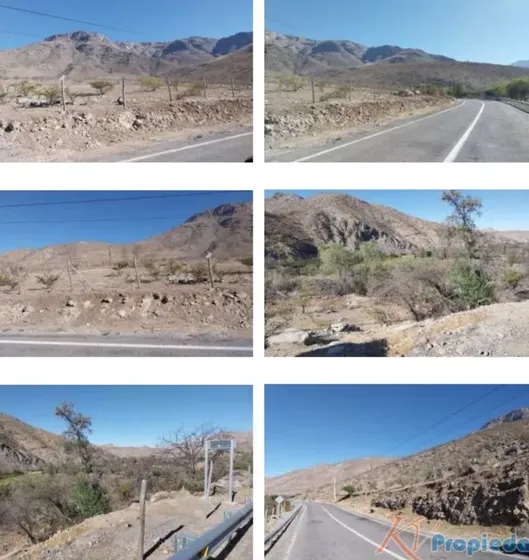 Valle De Limarí / Valle Del Elqui