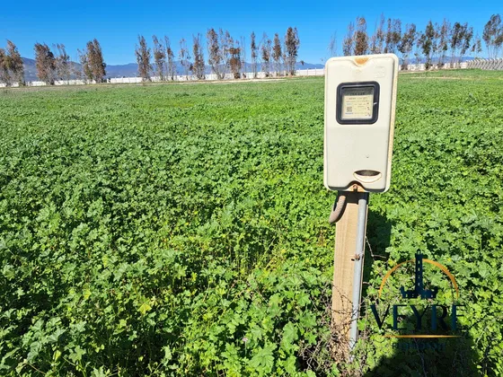 Parcela Agroresidencial En Condominio Pan De Azucar Norte