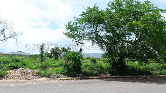 Gjg Vende Terreno Plano 10.000 Mts2 Urb Corinsa 25-6965