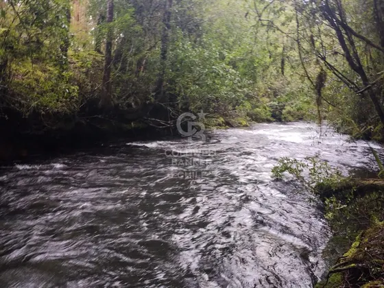 Río Blanco | Orilla De Rio | Con Cabaña