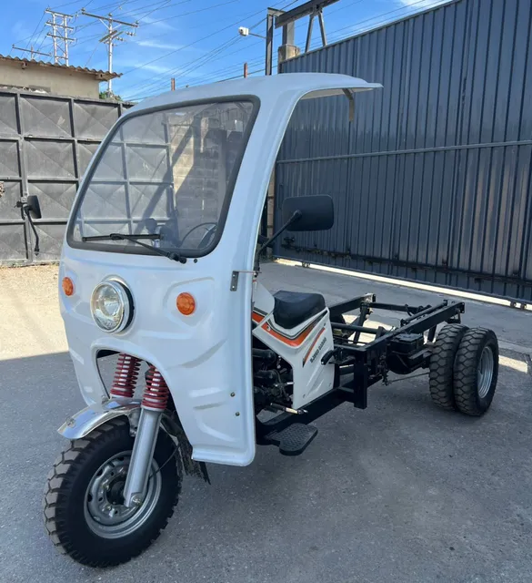 Hjm 250 Trimoto