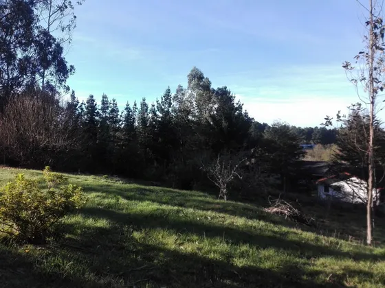 Gran Terreno En Lagunitas