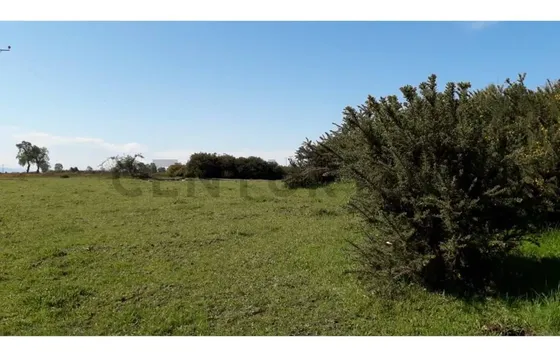 Terreno 10.000 M2 Orilla Estero A Pasos Escuela Y Posta Ñ...