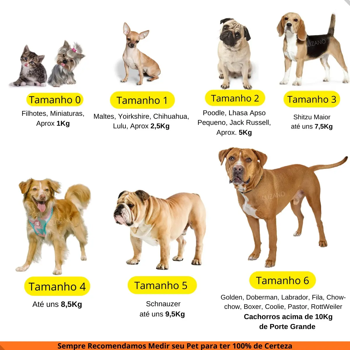Kit Roupa Para Cachorro em Uso