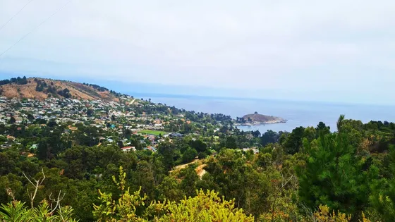 Vista Insuperable A La Bahia De Zapallar