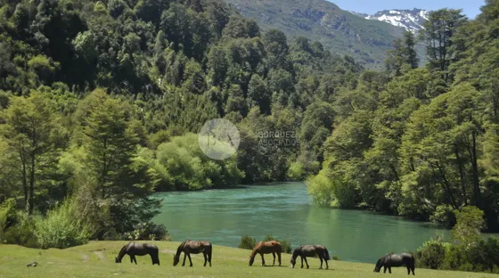 22767 - El Lujo De La Naturaleza Salvaje