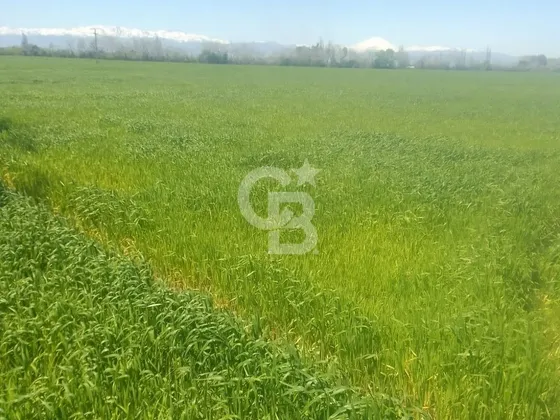 Parcela Productiva 23há Con Agua, Cerca Ruta 5 Sur