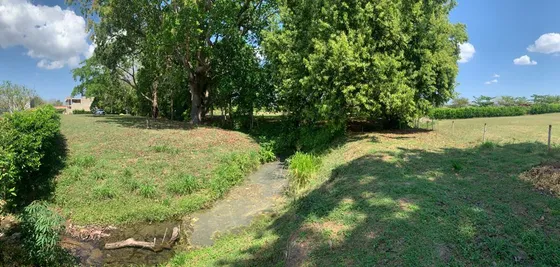 Un Lugar Donde La Naturaleza Y La Vida Urbana Se Unen Cod. 53390