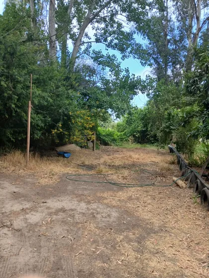 Ms01 Terreno Forestal Melipilla