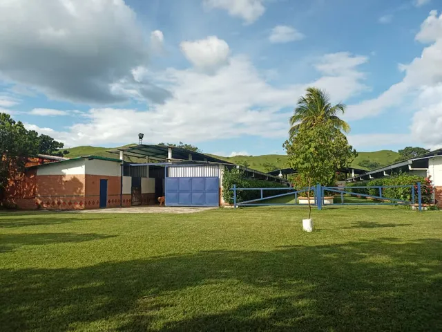 Finca En Venta 98 Hectáreas, Tradición Legal Inti  En Carabobo Ma 04
