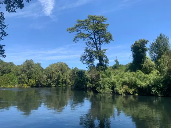 Parcela Plana, Loteo Parque Bosques Inundados. Puerto Varas.
