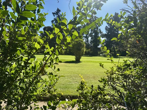 Sitio Plano Colindante A Cancha Lomas De La Dehesa